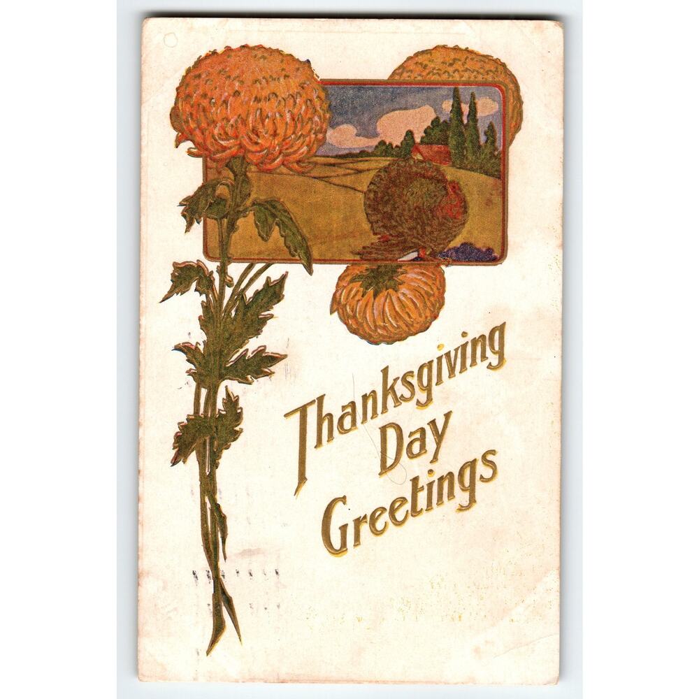 Vintage Thanksgiving Day Greetings Postcard with Turkey & Flowers 1908